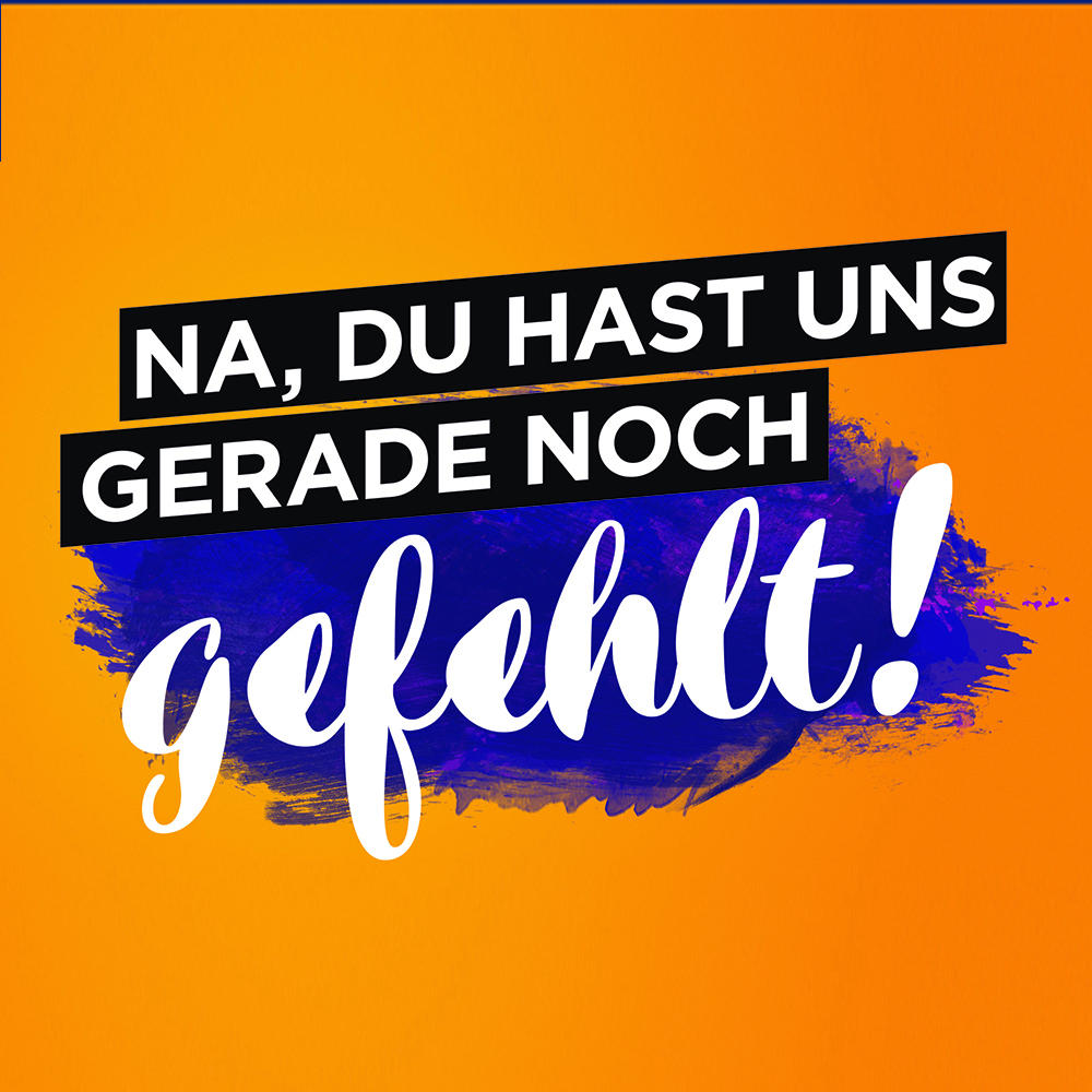 Na, Du hast uns gerade noch gefehlt!