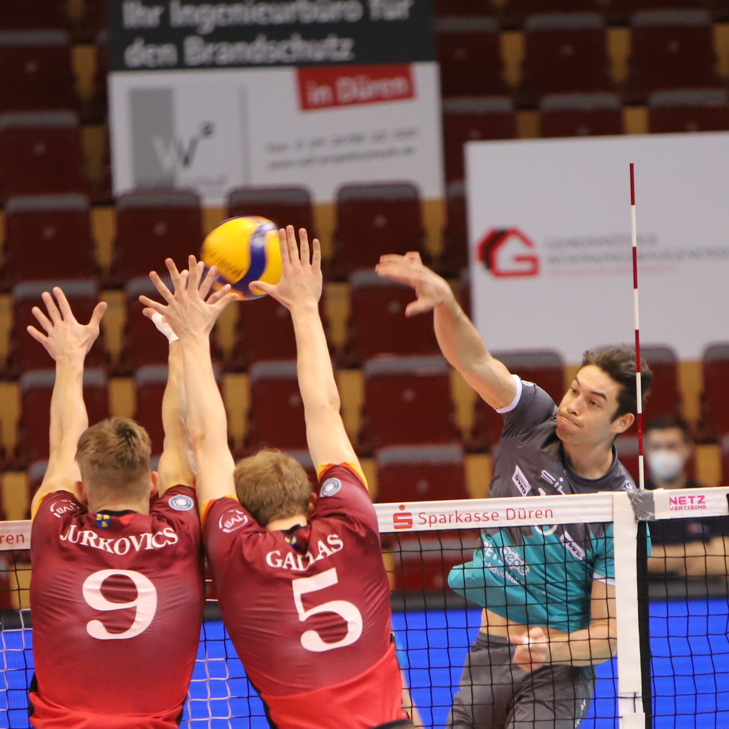 SWD powervolleys Düren 30 gegen die Volleyball Bisons » DNNews