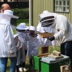 Bee active – Mehr als Honig – Bienen-Aktionstag der Schützenjugend