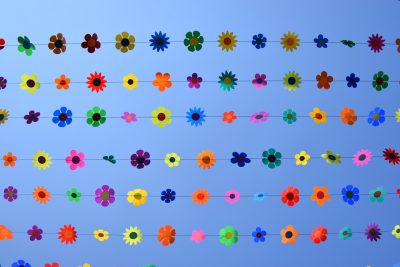 Blütenhimmel in der Wirtelstraße